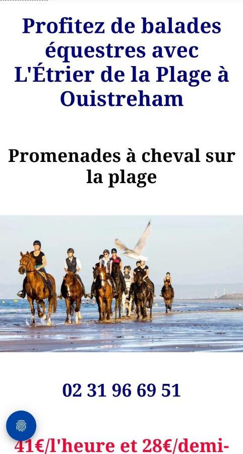 Magnifique Luxe Cosy Poppies - Normandie Racing, Flipper, Baby-foot, Spa, Jardin Mediterraneen, Riva Bella A 300m, A Pied, Confort, Ideale Familles & Groupes, Evj A Ouistreham, Proche Cabourg, Week-end & Courts Sejo Villa Ouistreham